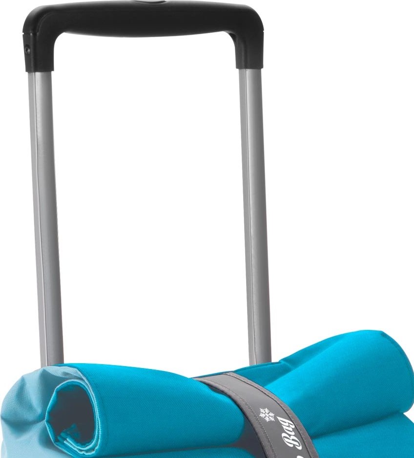 Сумка на колесах Gimi Rolling Thermo 50 Azure (928423) купить | ELMIR ...