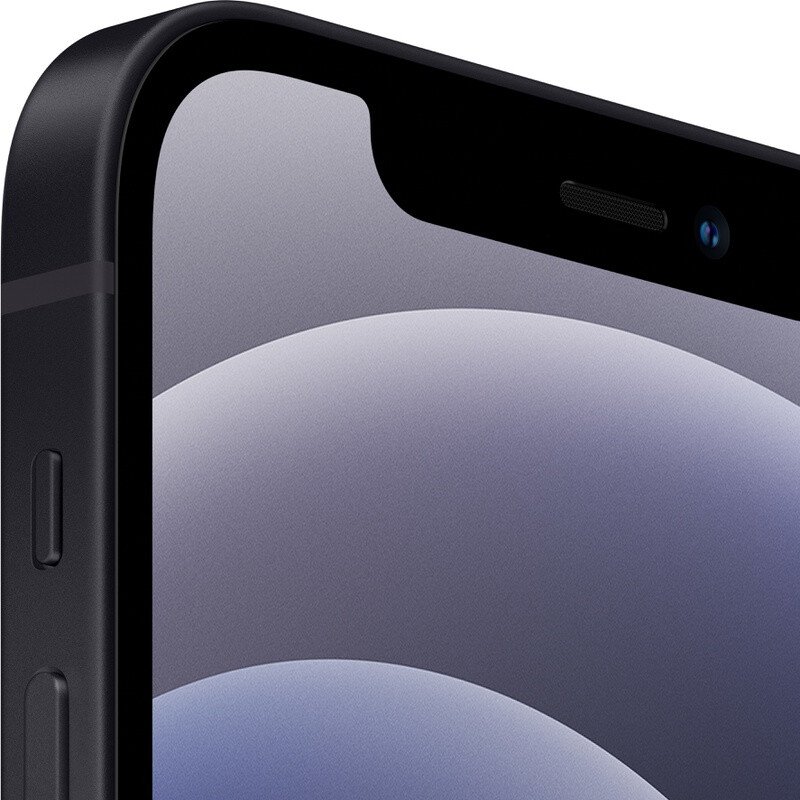 Мобильный телефон Apple iPhone 12 64GB Black (MGJ53) UA купить