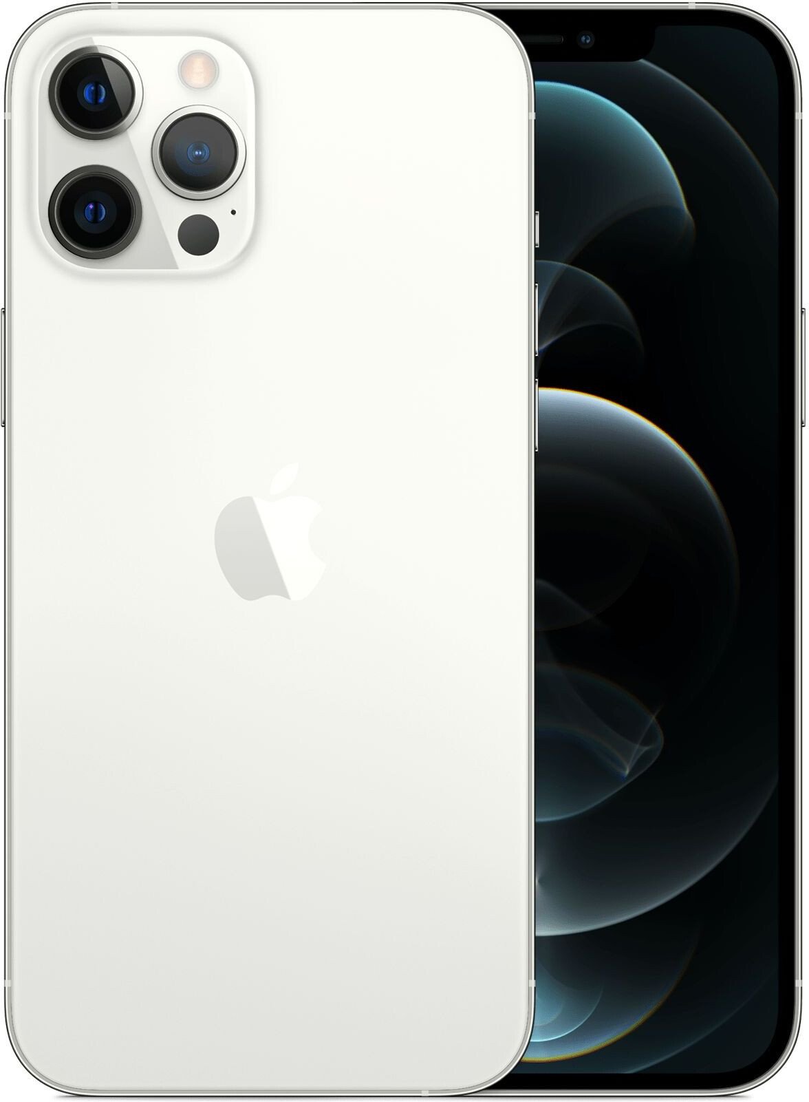 Мобильный телефон Apple iPhone 12 Pro 256GB A2341 Silver купить