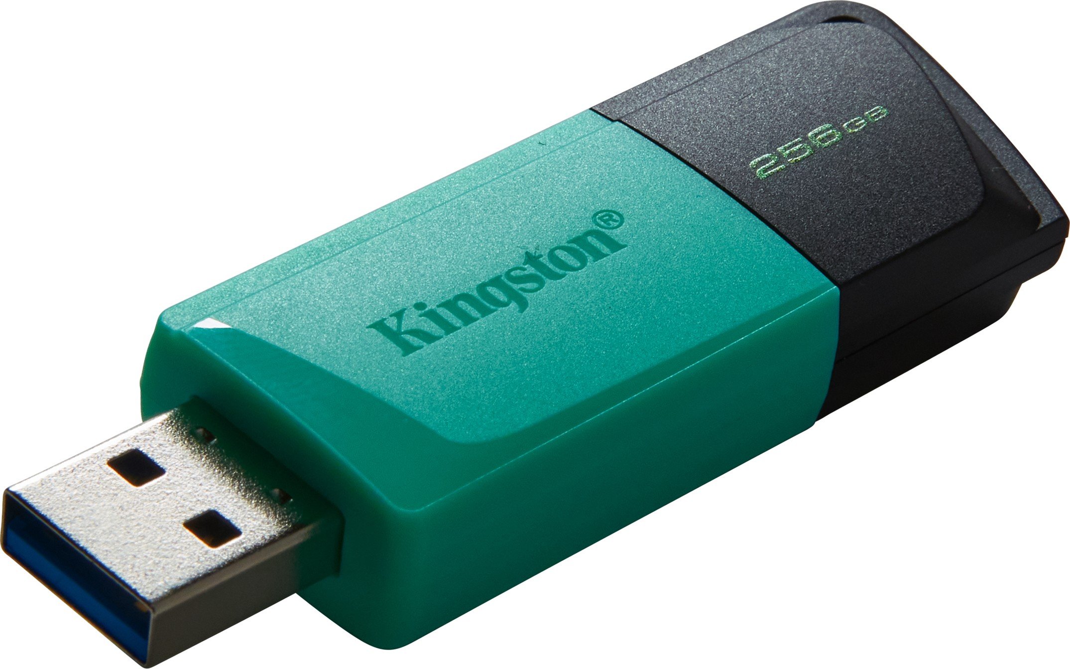 USB флеш накопичувач 256GB Kingston DataTraveler Exodia M Black