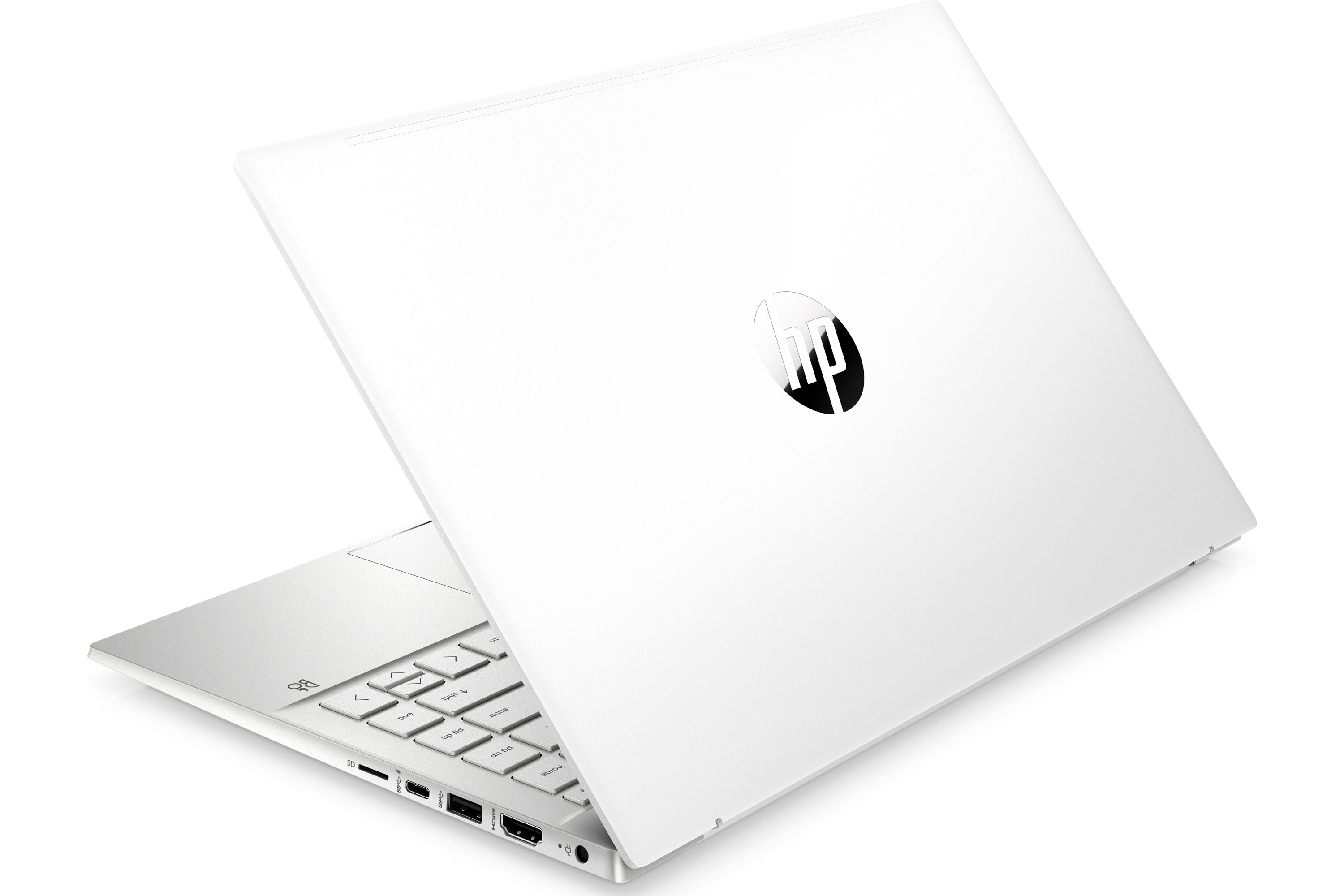 HP Pavilion Plus