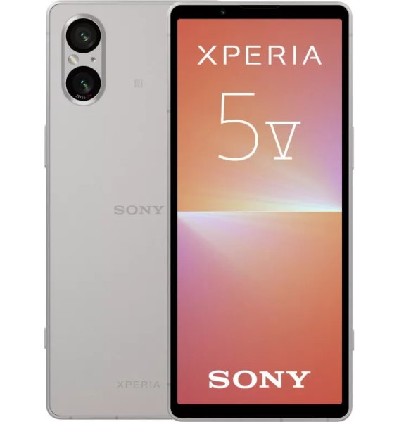 Мобильный телефон Sony XPERIA 5 V 8/256GB Platinum Silver Global