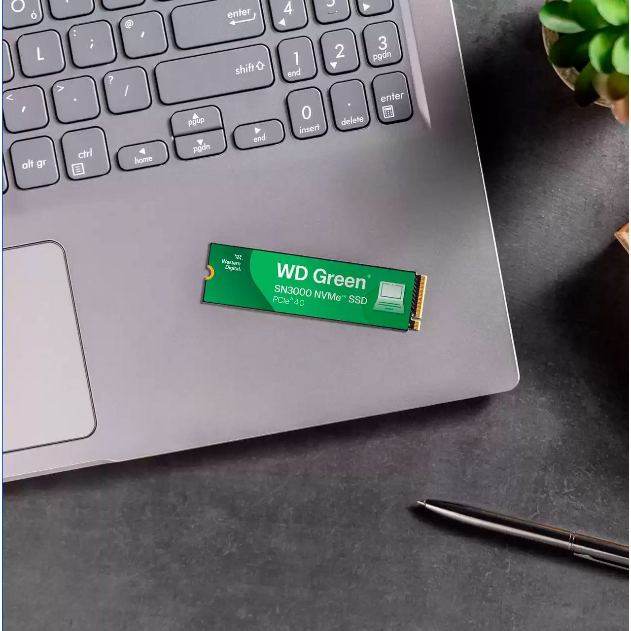 SSD-накопитель M.2 1TB WD Green SN3000 (WDS100T4G0E) купить 
