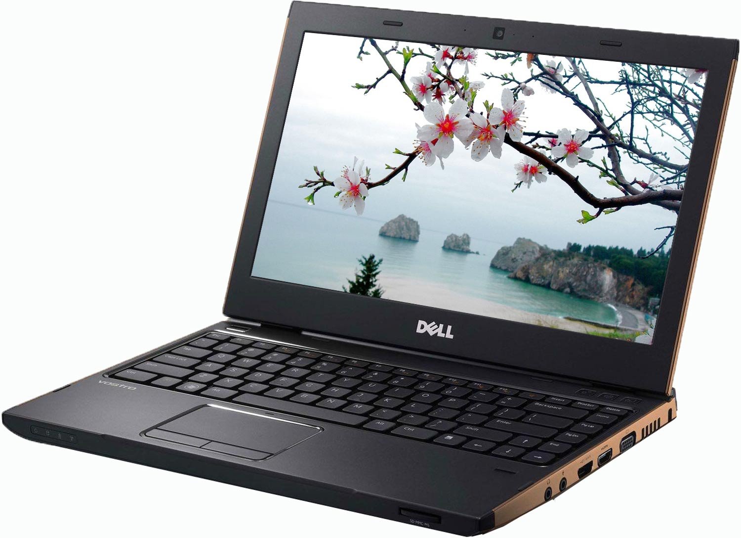 Ноутбук Dell Vostro 3350 Brass (3350Hi2310X4C500BLDSbrass) купить ...
